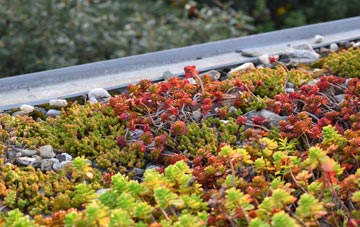 the cost of Studdal green roof installation
