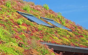 Studdal living roof systems